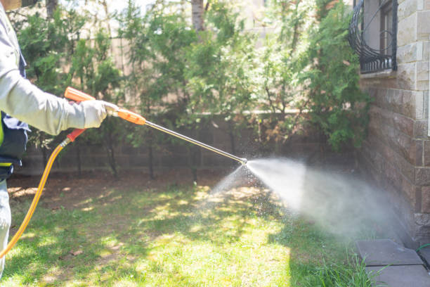 Best Pest Prevention Services  in St Louis, MI