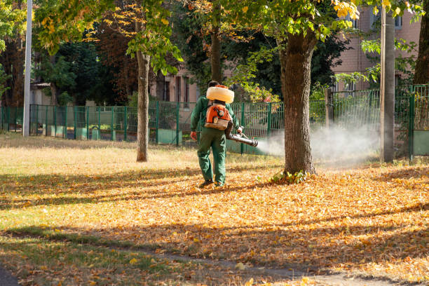 Best Ant Control Services  in St Louis, MI