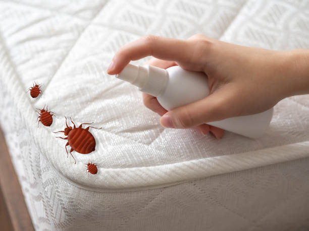 Best Pest Removal Services  in St Louis, MI